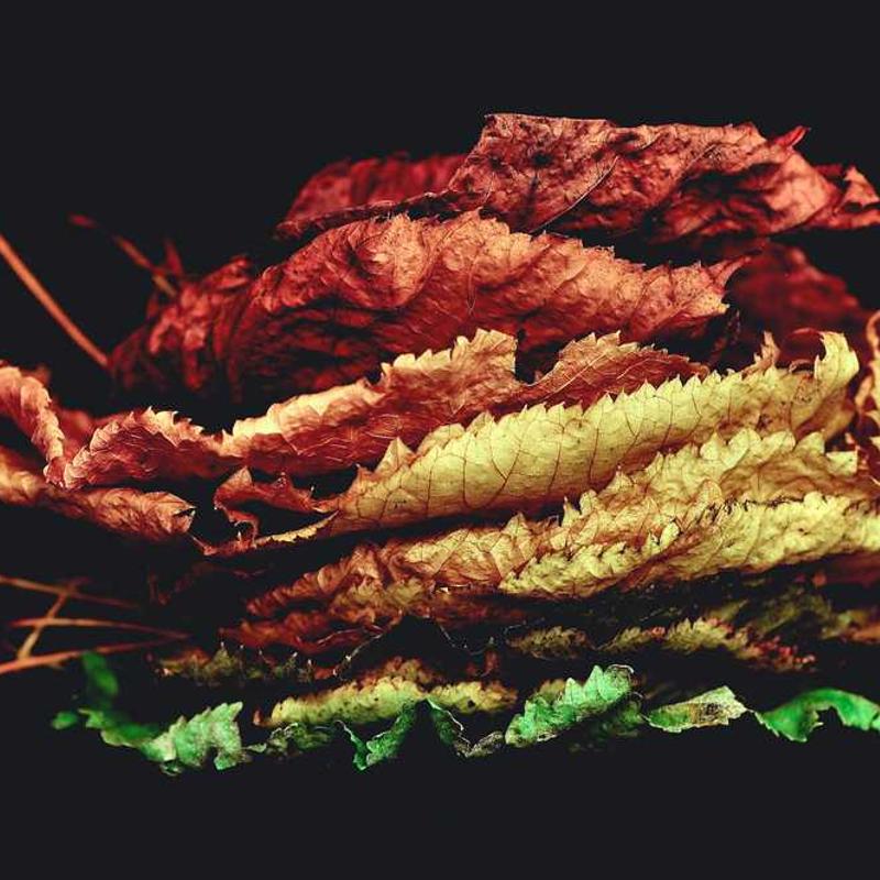 Khám Phá Những Điểm Đến Huyền Bí Không Thể Bỏ Qua Trong Năm 2023 Gallery 1 - travel