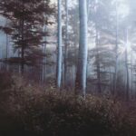 Khám Phá Những Điểm Đến Du Lịch Hấp Dẫn Nhất Việt Nam Năm 2023